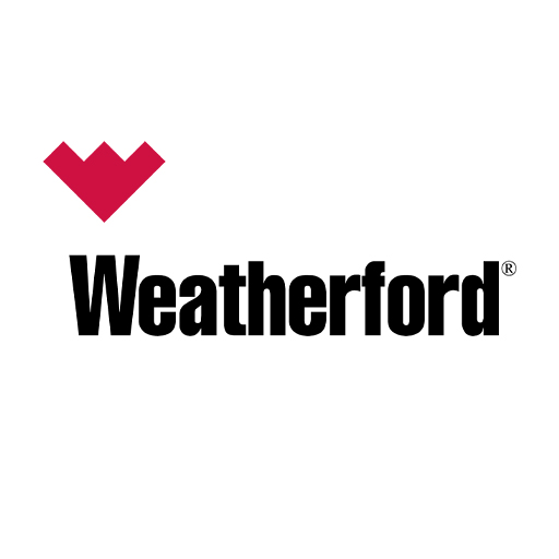 logo WFT